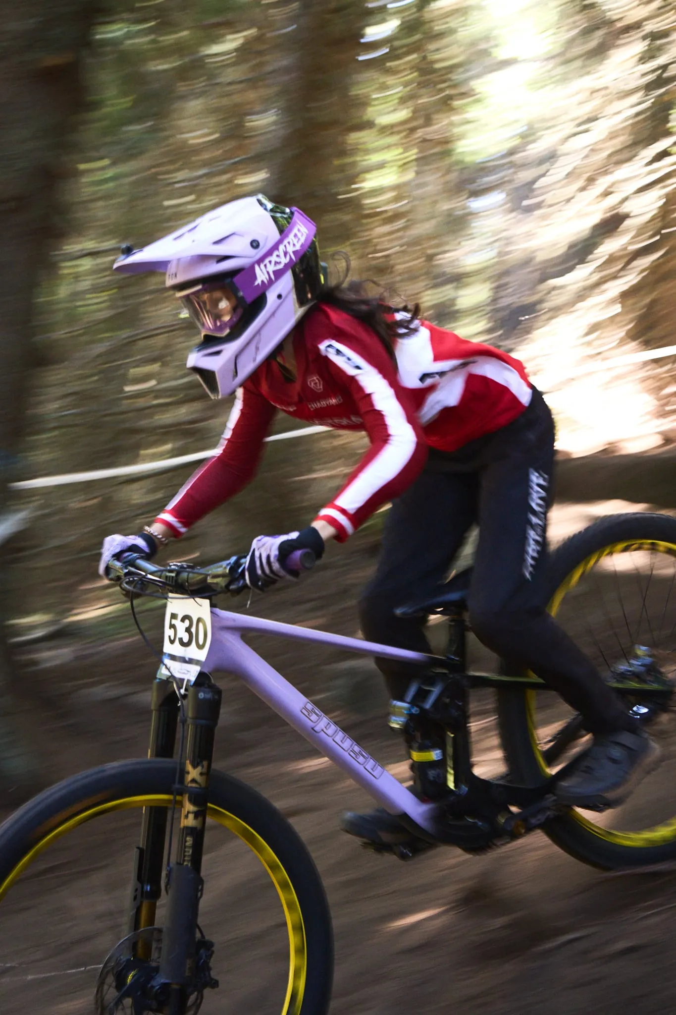 MTB Downhill European Championships, photo 3 of 14
