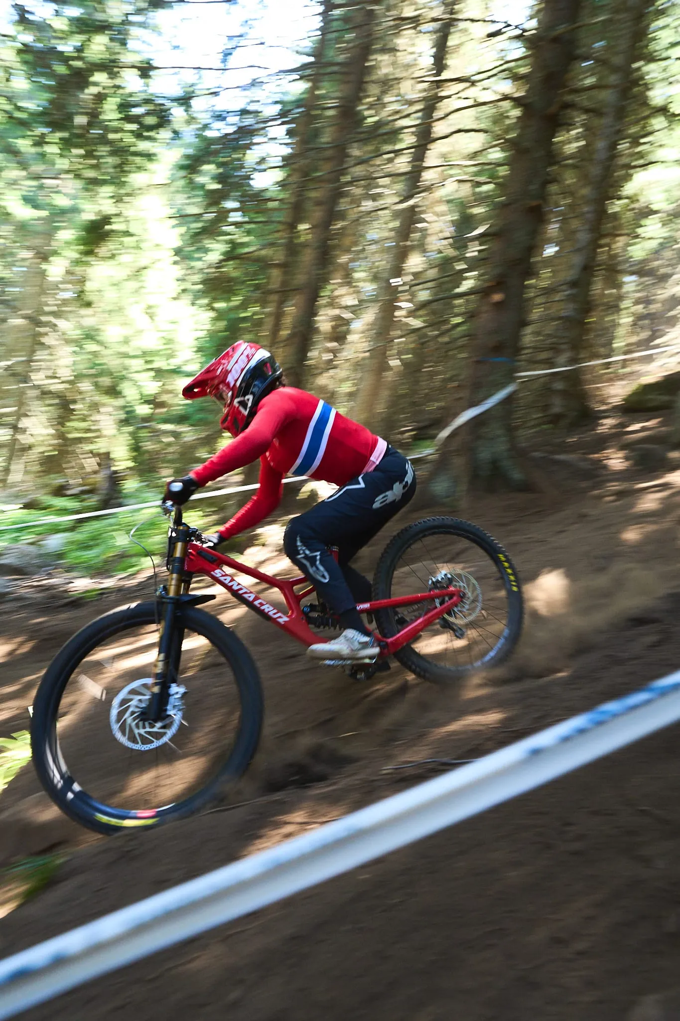 MTB Downhill European Championships, photo 4 of 14