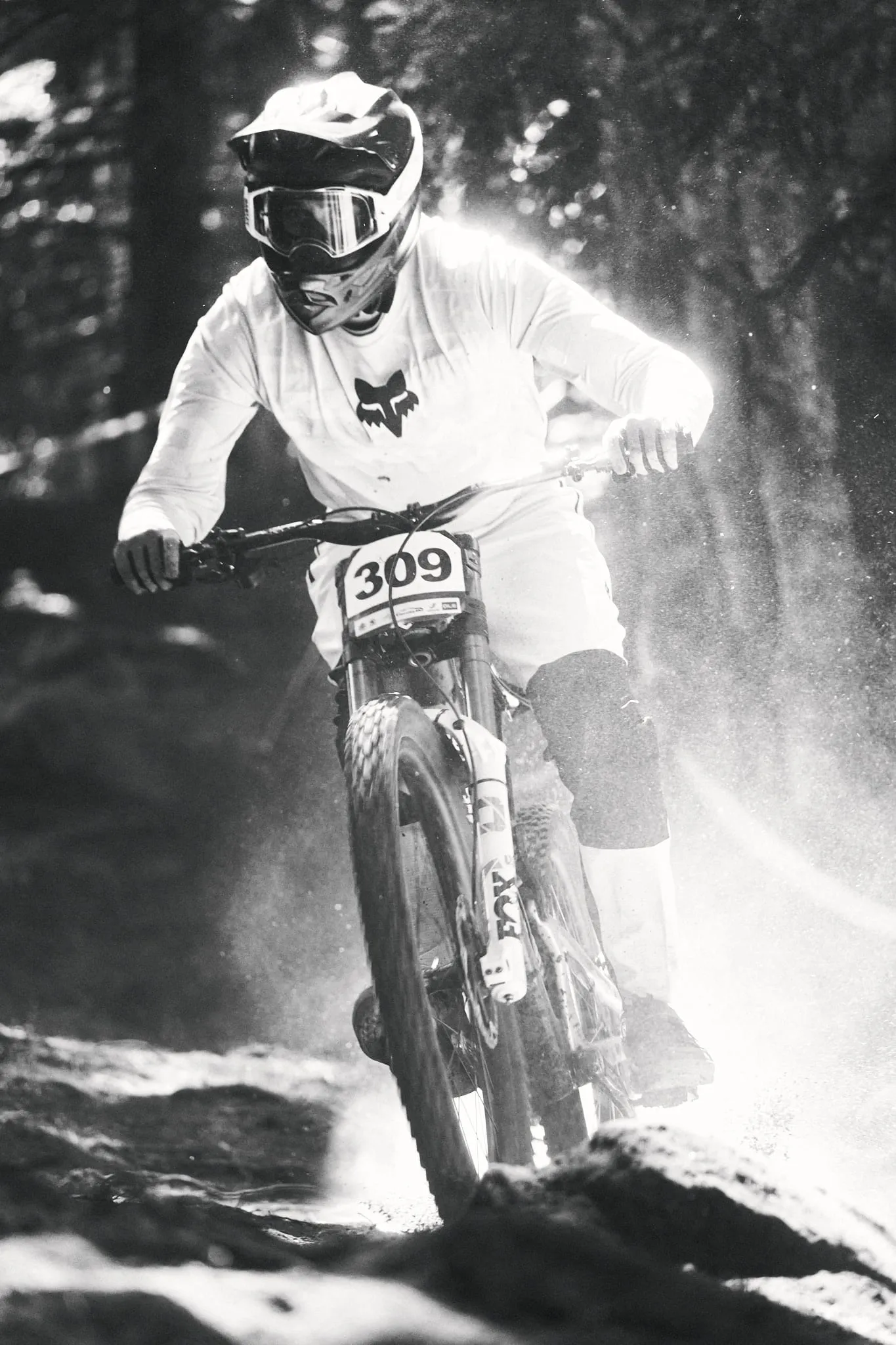 MTB Downhill European Championships, photo 8 of 14