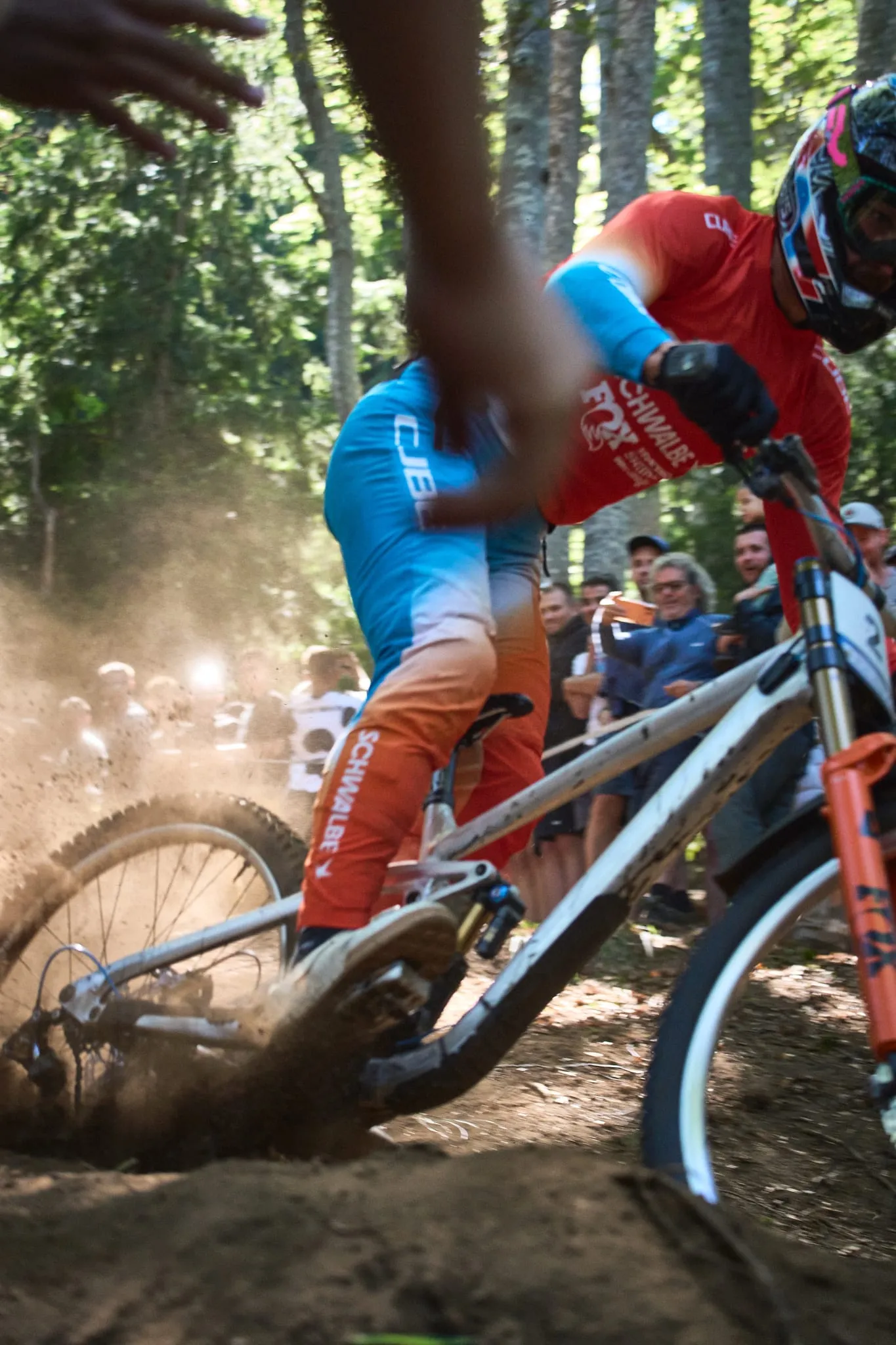 MTB Downhill European Championships, photo 14 of 14